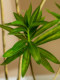 Lily Bamboo Artificial Indoor Large Plant Living Room Fake Tree Floor-Standing Potted Plant Bionic Green Plant Decoration Landscaping Ornament