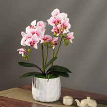 Butterfly Land Simulation Fake Flower Art Living Room Interior Different Desktop Tea Decoration Plastic Fittings Pot Set Set