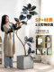 High-End Black Rubber Tree Artificial Green Plant Indoor Fake Tree Potted Plant Bionic Plant Landscape Decoration Ornament