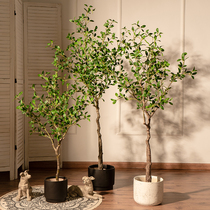 Banyan Tree Living Room Indoor Apparel Green Plant Fake Pot Decoration and Landscape Pot Plant Pot Plant