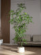 Top Ten Artificial Green Plants for Indoor Entrance, High-End Fake Tree Decoration, Potted Plants, Simulated Plants, Hotel Landscape Ornaments