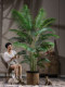 High-End Light Luxury Extra-Large Areca Palm Artificial Plant Fake Tree Potted Indoor High-Grade Simulated Green Plant Landscaping Ornament