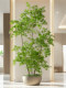 Large Artificial Green Plant Potted Decoration for Indoor Living Room, Simulated Plant for Shopping Mall, Artificial Tree for Landscaping