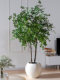 Extra-Large Artificial Elm Tree Potted Plant for Indoor Living Room Decoration, Faux Tree, Biomimetic Green Plant, Floor-Standing Decorative Ornament