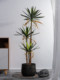 Simulated Dragon Blood Tree, Succulent Agave, Artificial Tree, Bionic Green Plant, Potted Plant, Indoor Living Room Landscaping Decoration Ornament