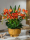 Phalaenopsis Artificial Flowers, Fake Flowers for Home Living Room Dining Table Floral Arrangements, High-End Realistic Plastic Floral Decorations