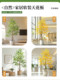 Simulated Green Plant Maple Tree Indoor Living Room Artificial Plant Potted Landscaping High-End Imitation Window Display Floor Decoration Ornament