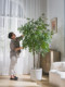 Extra-Large Artificial Elm Tree Potted Plant for Indoor Living Room Decoration, Faux Tree, Biomimetic Green Plant, Floor-Standing Decorative Ornament