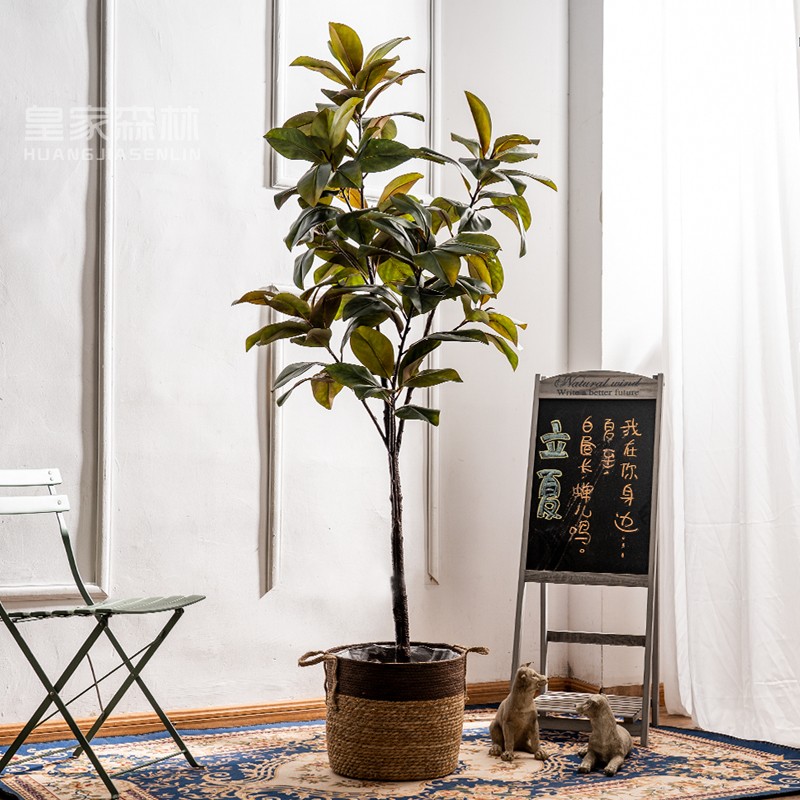 Upscale emulation Guangyulan tree potted false tree biomimetic green planting plant bonsai indoor living room with floor decoration pendulum piece-Taobao