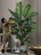 High-End Light Luxury Extra-Large Areca Palm Artificial Plant Fake Tree Potted Indoor High-Grade Simulated Green Plant Landscaping Ornament
