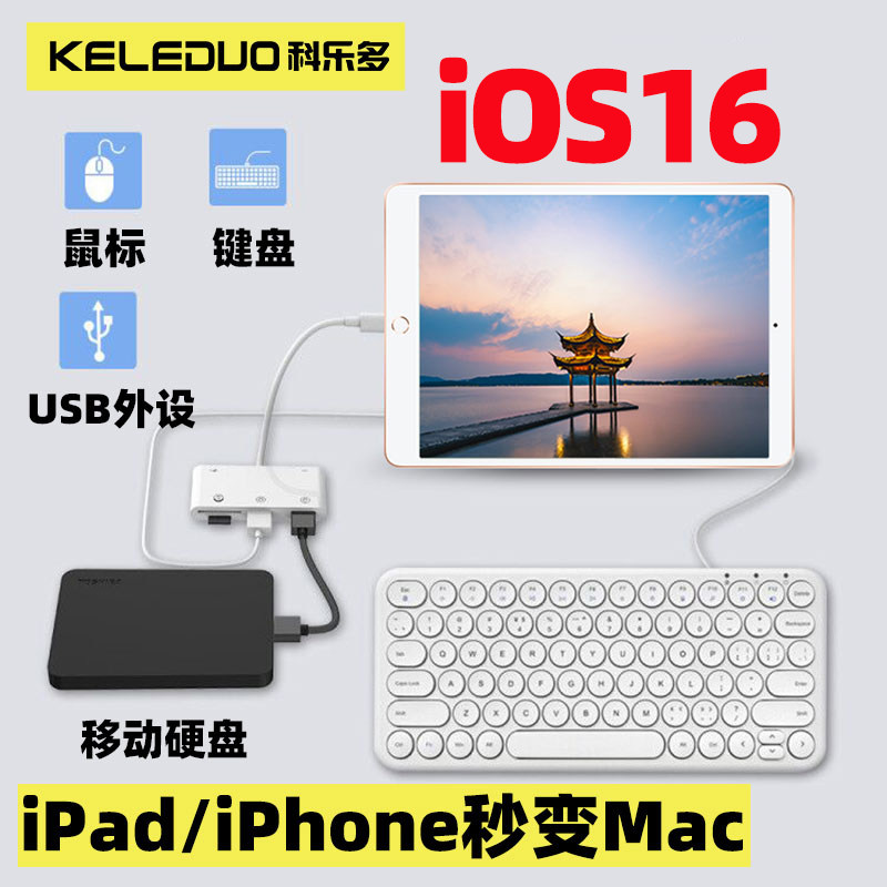 ipad expansion dock suitable for Apple tablet air3 phone iphone12 transfer hard disc to connect with body USB adapter