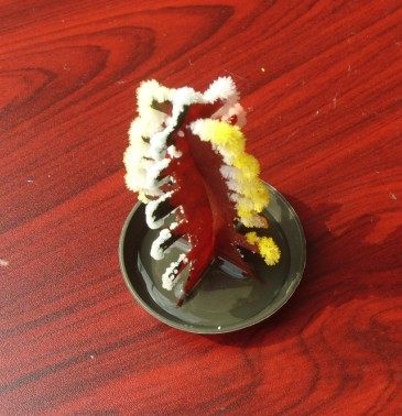 Children's Science Experiment Magical Seven Colors Christmas Tree Snowflake Christmas Tree Paper Flowers Crystallize The Christmas Tree