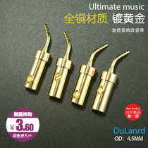 DuLanrd Pure Copper Gold Plated Solderless Clamp Coke Head Horn Wire Plug Antique Audio Pin Card Needle