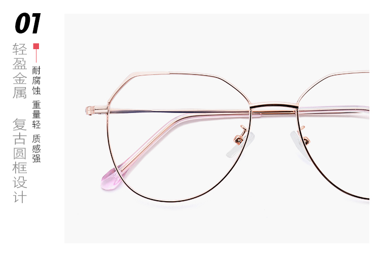 Montures de lunettes en Alliage cuivre-nickel - Ref 3140286 Image 12