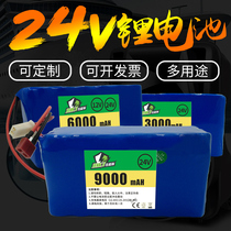  24V lithium battery pack Volt power Little Dolphin mini electric car Scooter moped audio roll gate battery
