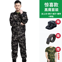 Комплект, шапка, ремень, футболка, черный орел