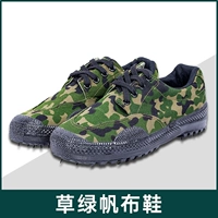 Низкий верх - трава зеленый [Отправить стельки + носки]