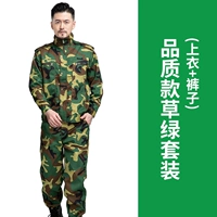 Качественная трава зеленый 【1 набор】