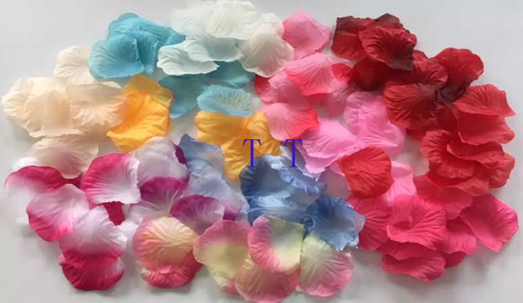 Bougie - Ref 2485928 Image 6