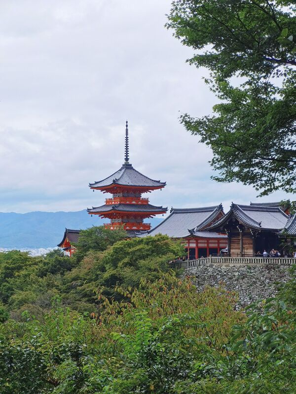 [Booking Service] Japanese Restaurant Booking Service/Japanese Bus Booking Service/Japanese Fireworks Festival Tickets/Japanese Private Car Hire