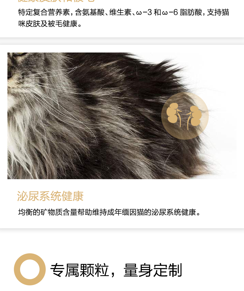 Royal Cat Food Maine thành thức ăn cho mèo MC31 2kg thú cưng Mèo Maine thức ăn tự nhiên đặc biệt thức ăn tốt cho mèo