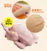 Petty dog ​​với xúc xích thú cưng chó ăn vặt thú cưng ham xúc xích 20 Teddy VIP xúc xích snack chó - Đồ ăn vặt cho chó thức ăn cho chó mẹ sau sinh Đồ ăn vặt cho chó