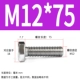 M12*75 (10)