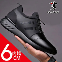 Woodpecker Male Shoes 2021 Spring Summer New Leather Shoes Men Sports Casual Inner Heightening Shoes 6CM 100 hitch