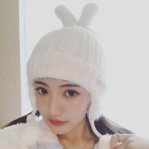 Autumn-winter thickened double layer of small rabbit ears wool-ball hat protective ear warm and soft anti-wind lady