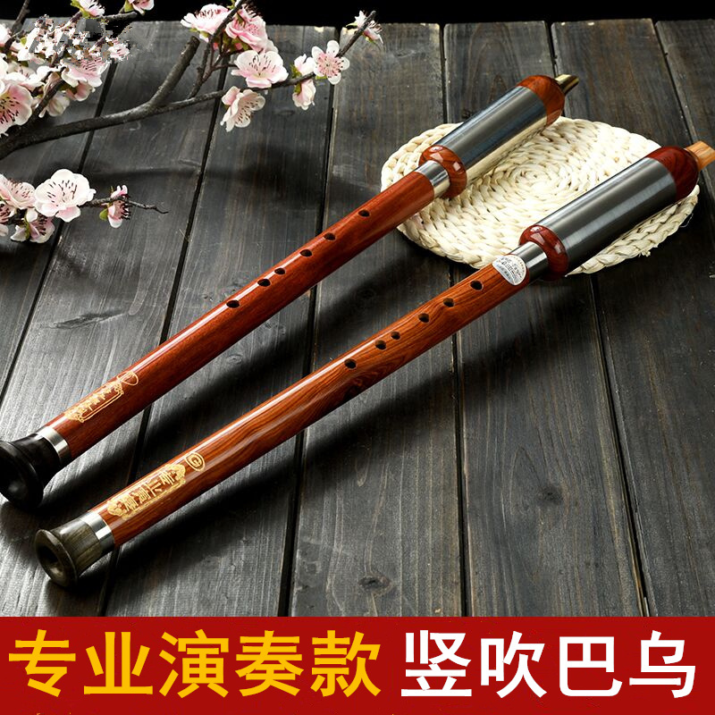 Children's adult beginner musical instrument professional playing shape red wood Bauu G tuning leather box
