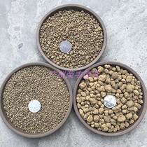 Japanese original-Ryuquan Chiyu Tu Longquan sub-bag of succulent plants bonsai orchid aquatic plants