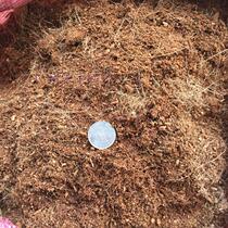 Vietnam import-bagged coconut Bran coconut flour coconut coconut palm cultivation seedling upper pot sub-bag