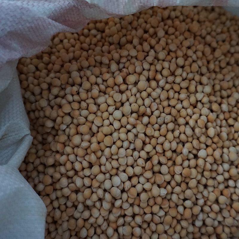 Cherry lõi 5 kg vận chuyển xuất khẩu hạt nhỏ hạt lớn nén nóng Làm gối sạch và không có tạp chất đánh bóng một pound gối chống trào ngược babieskey