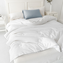 Four seasons universal quilt solid color winter quilt thickened warm soft spring autumn summer quilt student dormitory single double quilt core
