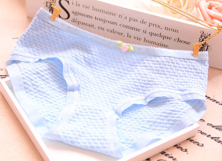 Slip jeunesse en coton - Ref 652014 Image 16