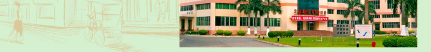 【中国直邮】广州酒家 风味粽子真空礼盒 早餐端午节美味 风味肉粽礼盒1000g*1盒(10只)