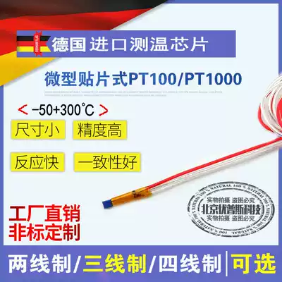 SMD temperature sensor PT100 Platinum RTD German temperature sensor PT1000 Miniature exposed monitor