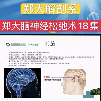 Zheng Da-New ideas for the treatment of some visceral diseases-Brain nerve relaxation Facial paralysis Headache tinnitus hearing video