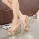 14CM wedge super high heel sandals sandals waterproof platform thick sole transparent fish mouth shoes nightclub sexy sequined slippers for women