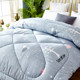 Quilt winter quilt core thickened warm winter single student dormitory quilt spring autumn winter double space quilt quilt core