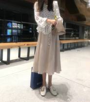 Fan Squad Pancake Color Glossy Elastic Skirt Simple Temperament Mid-Long Sectional High Waist A-Line Skirt