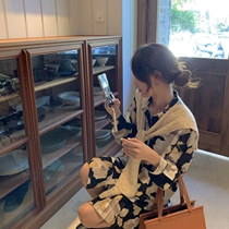 Fan Squad Oil Painting Shirt Skirt Vanity Printing Front Short Long Back Long Dress