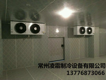 40 cubic meters cold storage -10 to -18 °C 5p cooling wheel refrigeration unit Cold air cooler full equipment