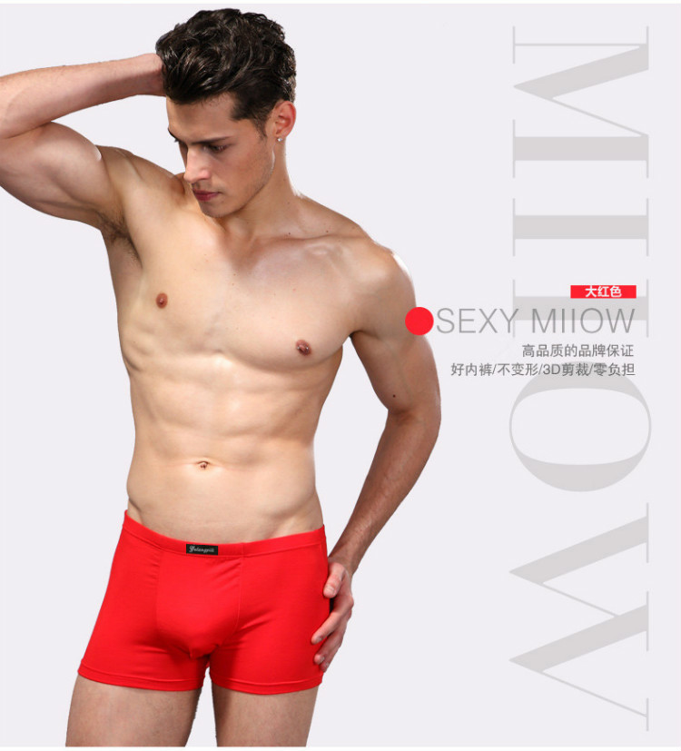 Đồ lót nam thanh niên nam modal hơn cotton mềm boxer tóm tắt màu rắn thoáng khí quần bốn điểm bán buôn quần sịp