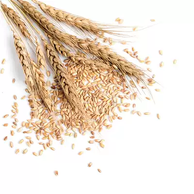 Dried flowers, wheat ears, floral photo props, background cloth, ins wind decoration, food photography, decoration, jewelry, pendulum