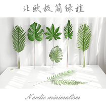 ins wind simulation leaf photo props ornaments jewelry Nail art shooting pendulum decorative background cloth Taobao photography