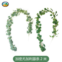 Single artificial plant Eucalyptus vine round leaf Eucalyptus leaf rattan Wedding decoration green leaves Green flowers Rattan false leaves