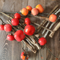 Simulation Persimmon dry branches fake branches fruit simulation flowers soft-set flower arrangement Persimmon branches plastic flowers fake fruit