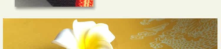 Coussin chauffant USB China Wind - Ref 423615 Image 41