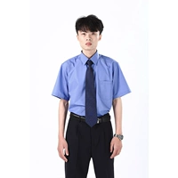 Мужской, короткий рукав